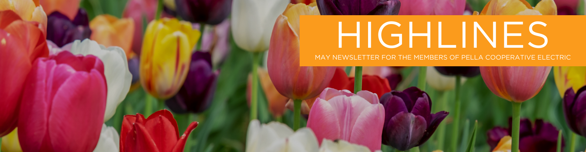 PCEA's May Newsletter