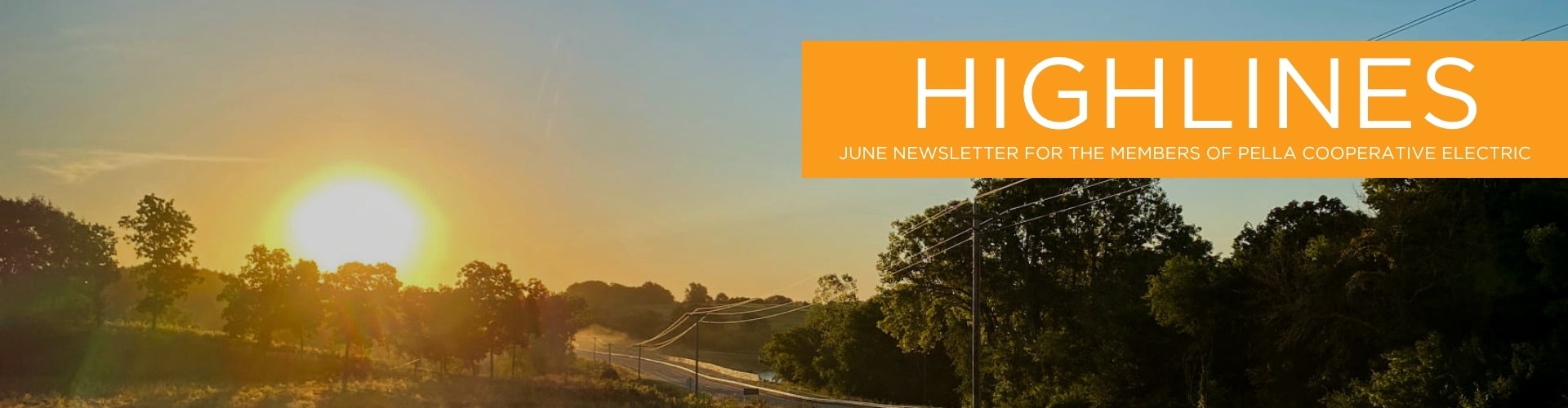 Newsletter banner June